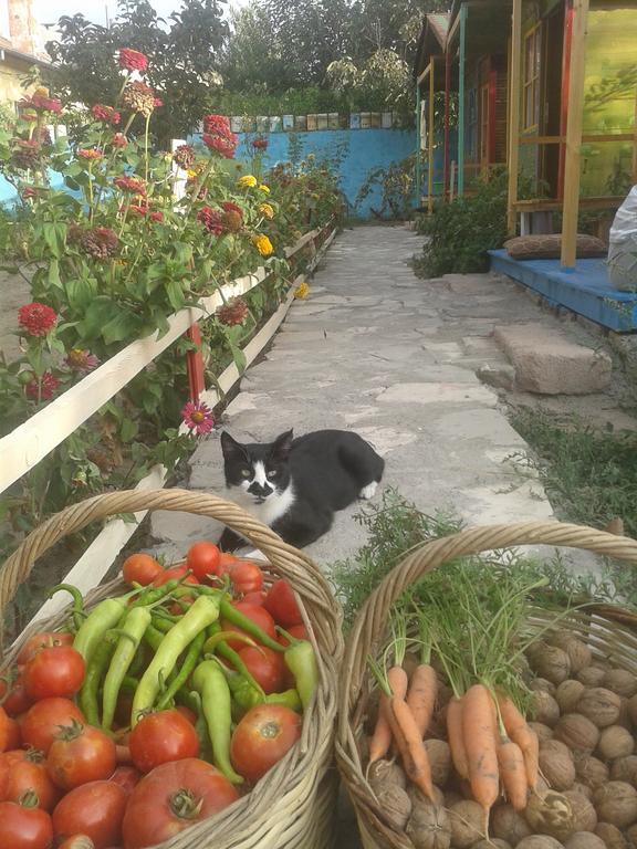 Garden Of Cappadocia Apartment Uchisar Luaran gambar