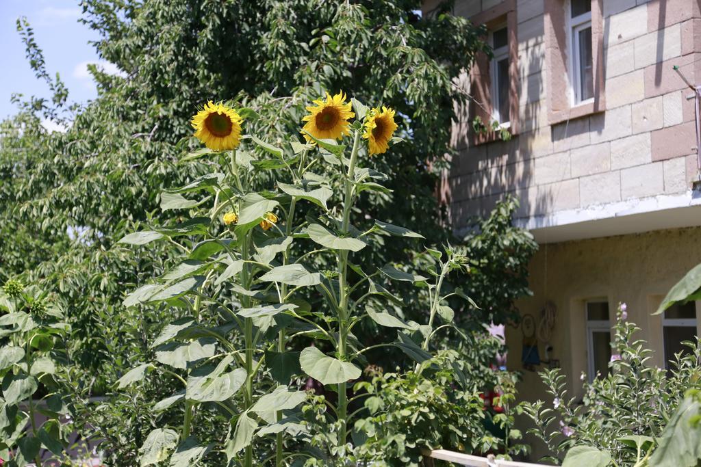 Garden Of Cappadocia Apartment Uchisar Luaran gambar